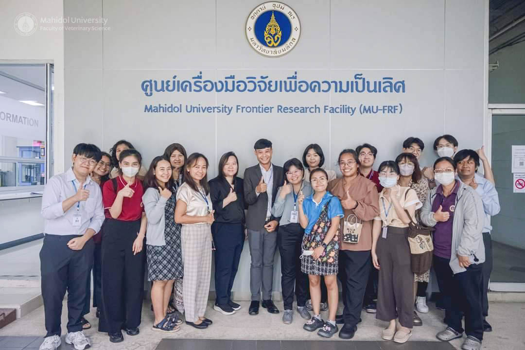 โครงการเพิ่มศักยภาพนักวิจัย