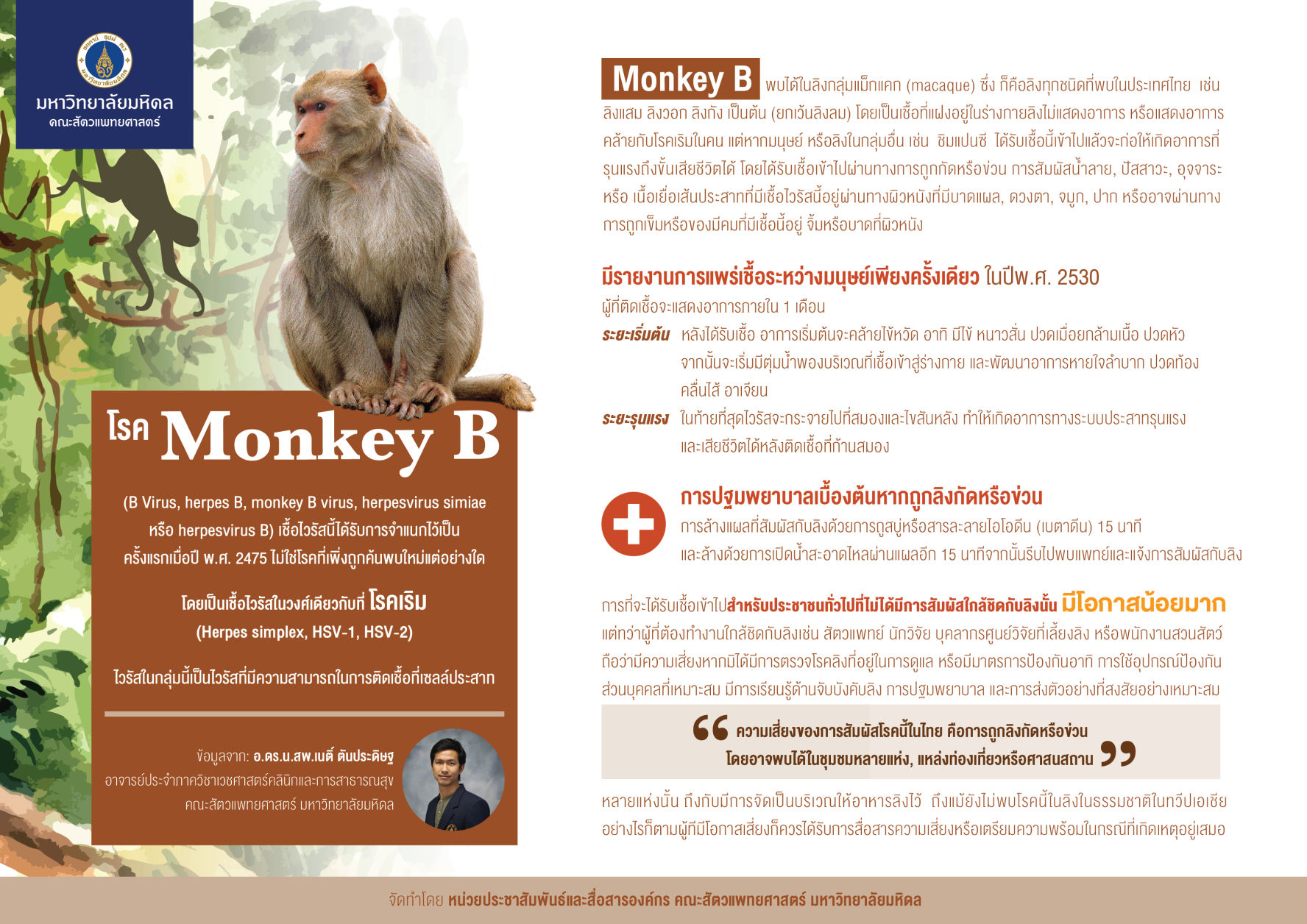โรค Monkey-B