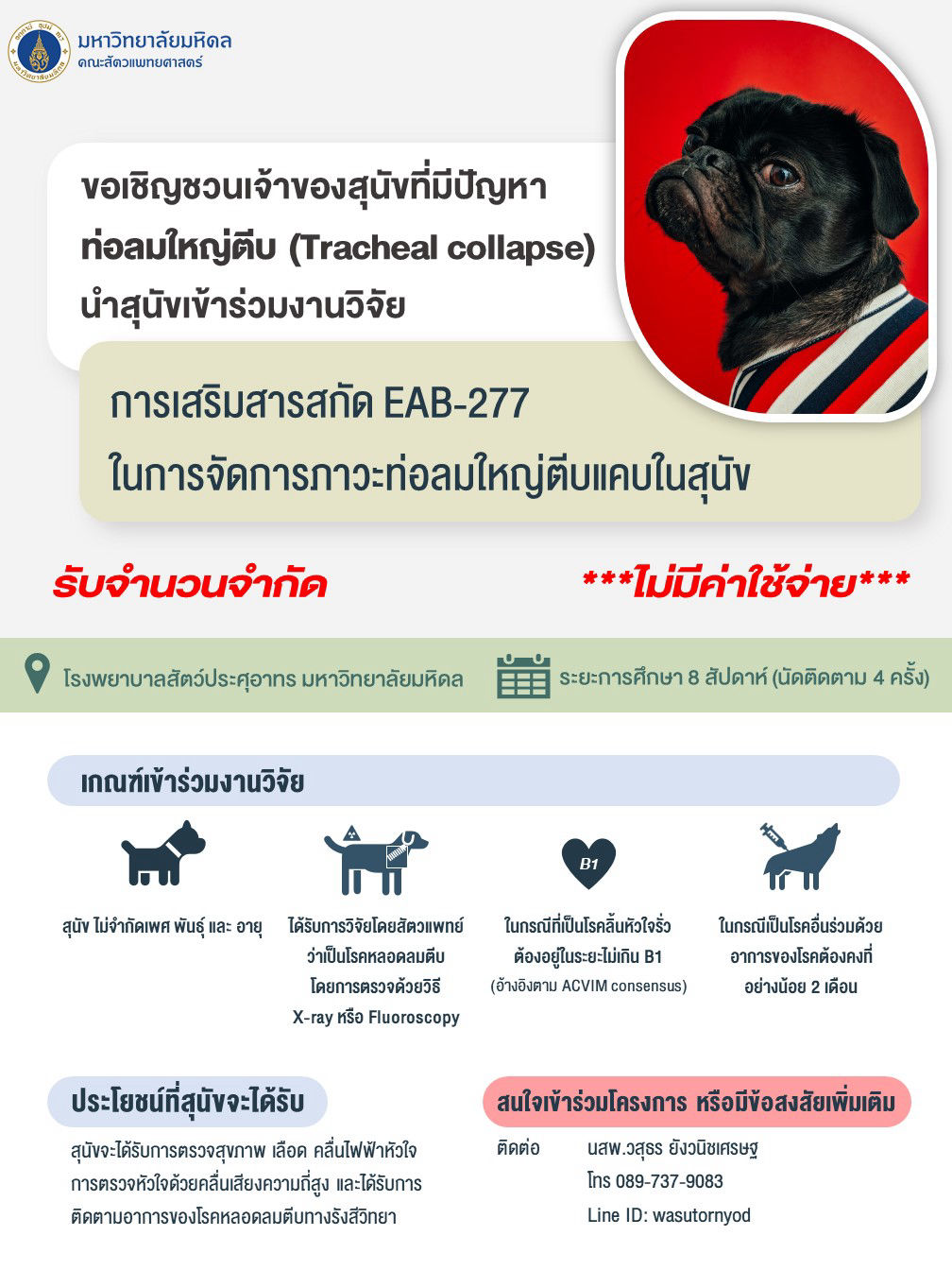 Tracheal collapse