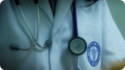 vet